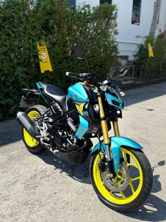 Yamaha MT-15: общий вид