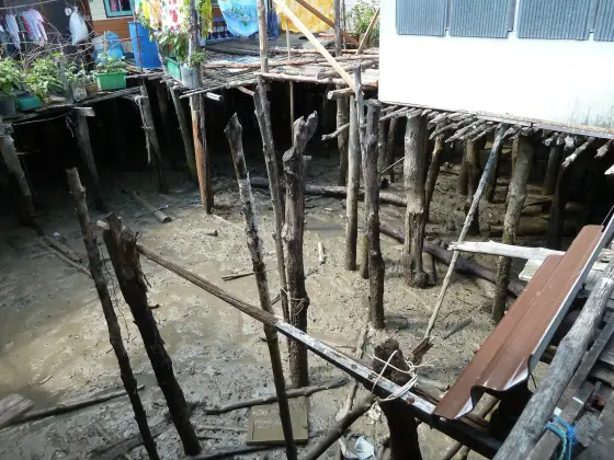 Stilts under the houses of Ko Panyi at low tide