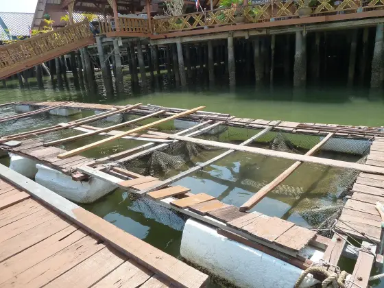 Fish cages beside a stilt restaurant on Ko Panyi