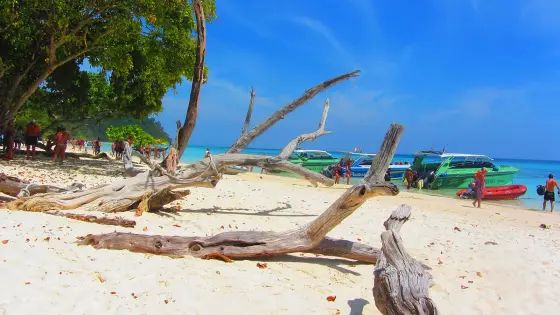 Ko Rok Nok beach with driftwood and speedboats at the water's edge