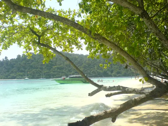 Shaded beach on Ko Rok with a speedboat in the shallows
