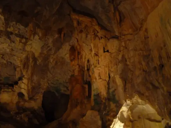 The roof of a cave at Wat Suwan Kuha in dim light